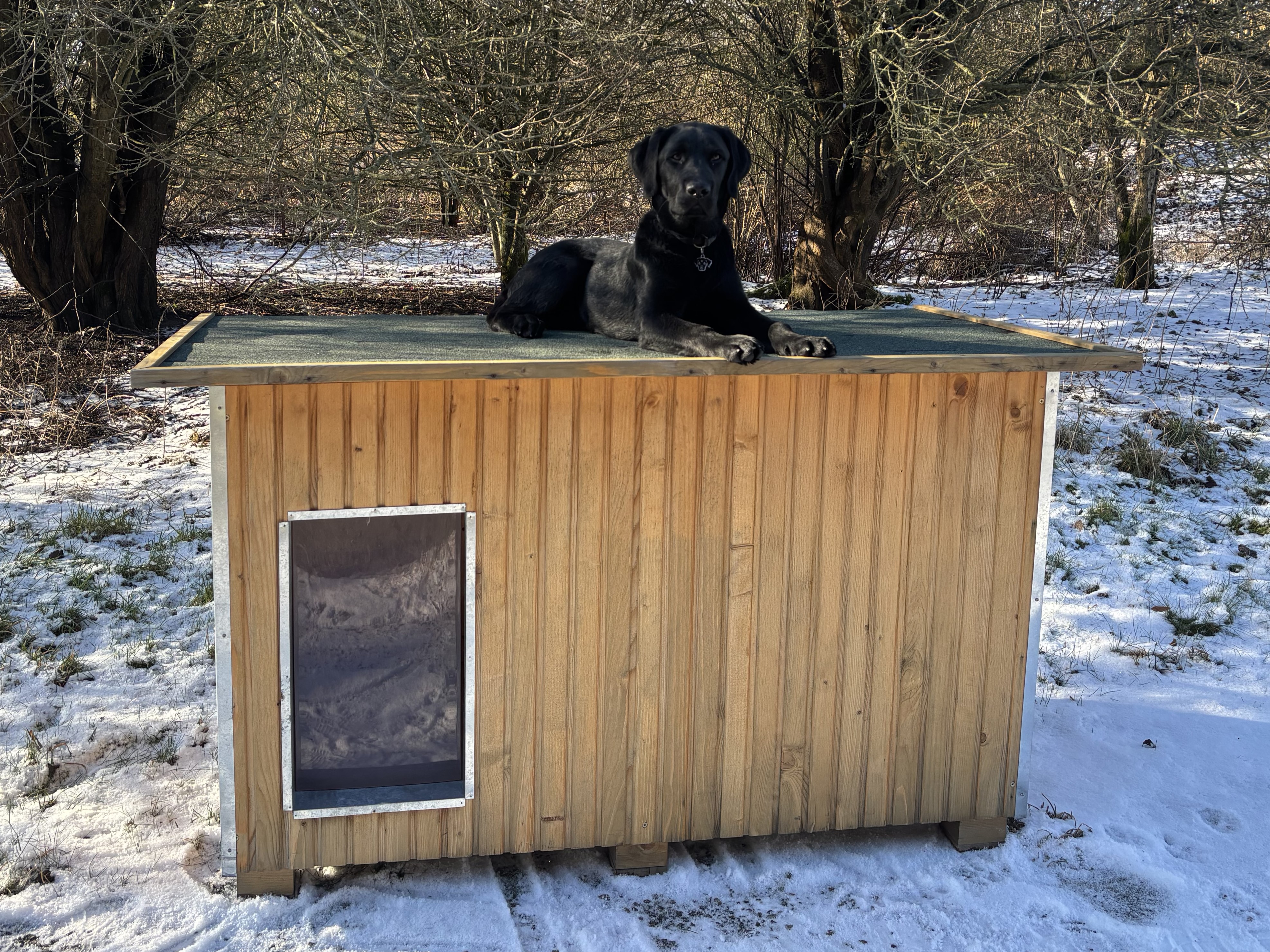 Sort hund slapper af ovenpå et Luksus hundehus i et vinterlandskab.