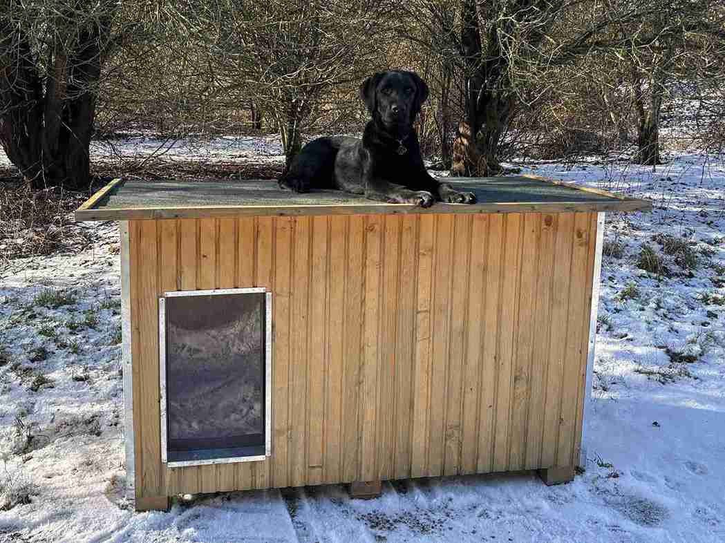 Sort hund slapper af ovenpå et Luksus hundehus i et vinterlandskab.
