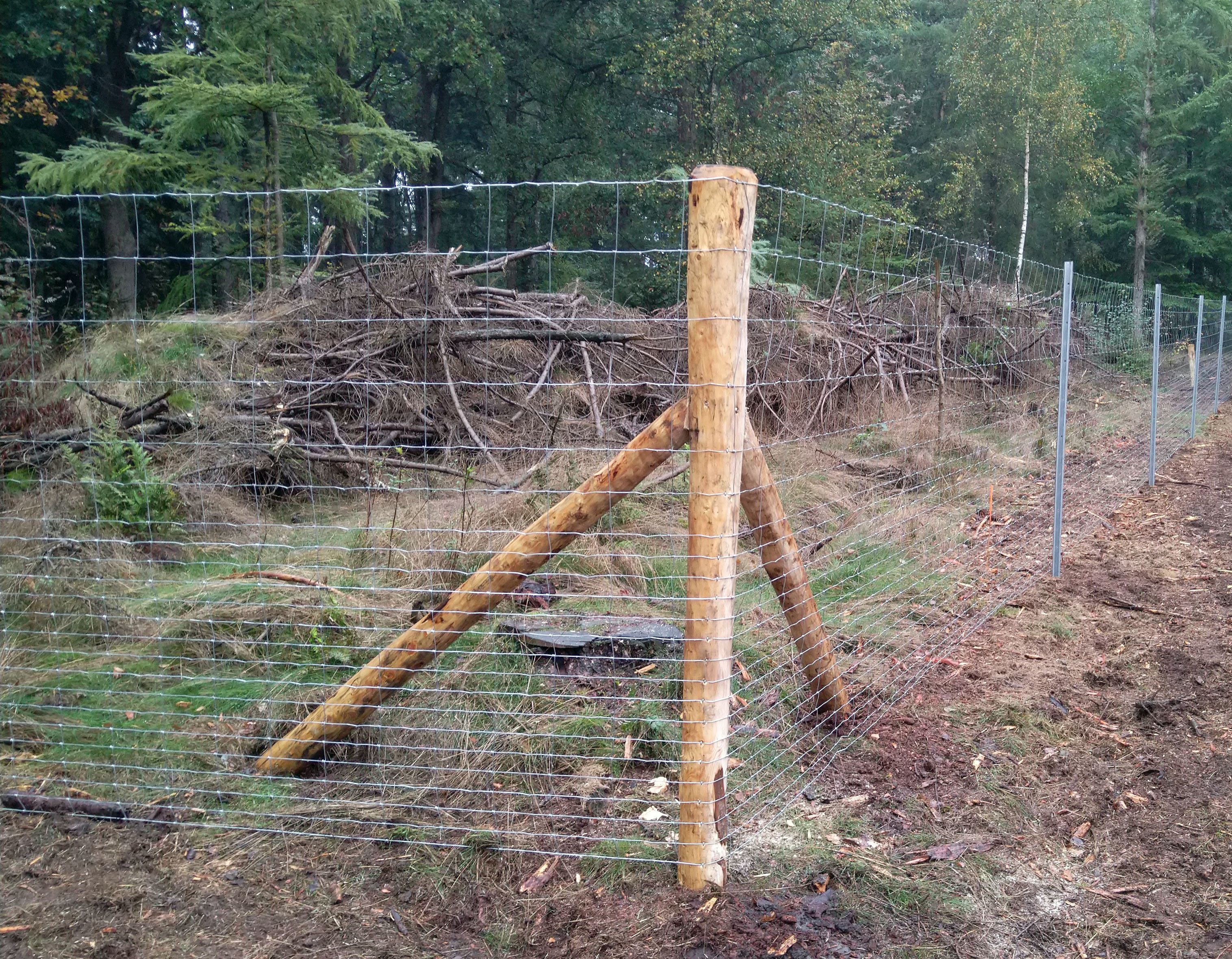 Hjørnet af et skovhegn med en træpæl. Lavet i nethegn.