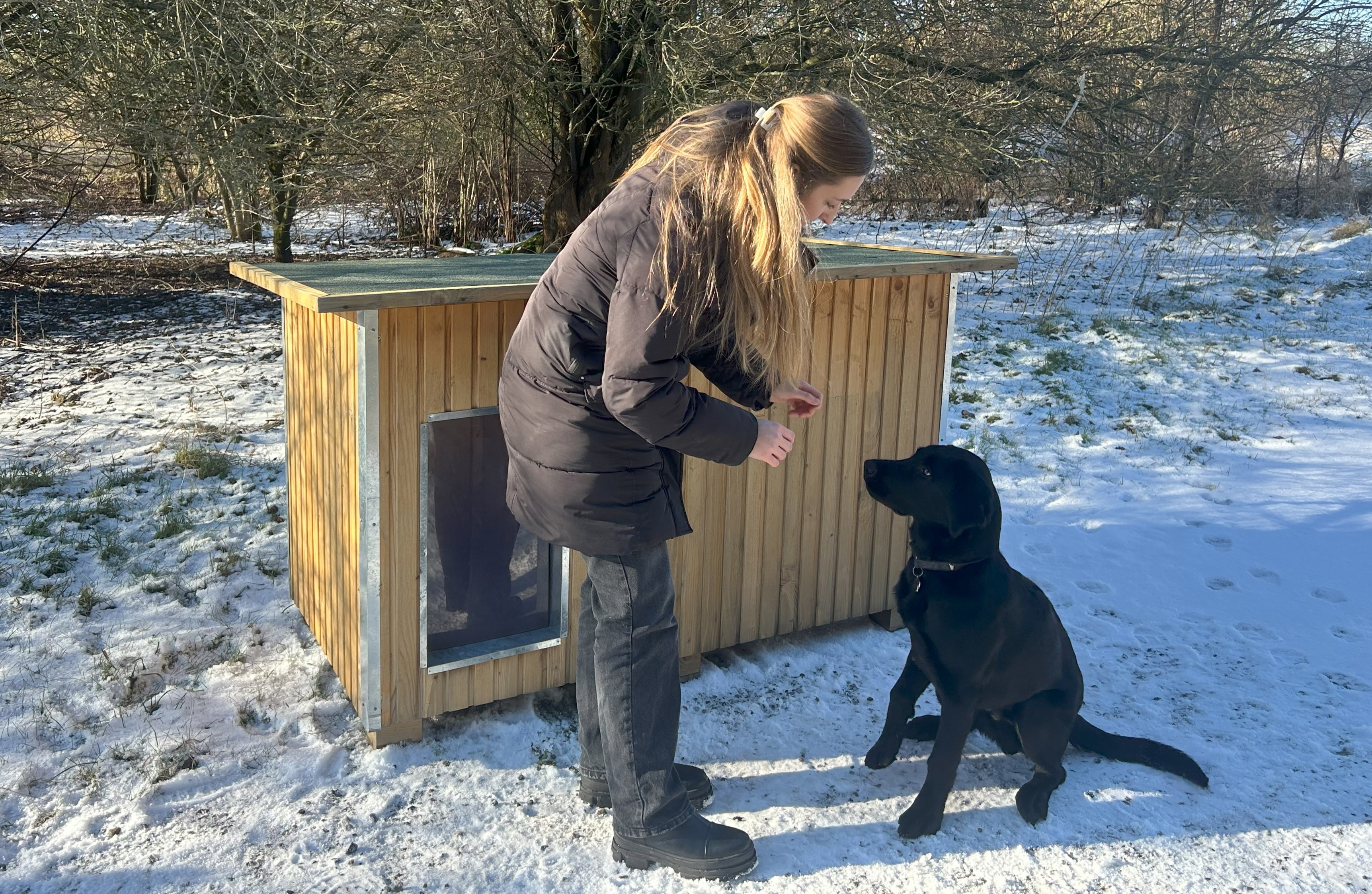 Kvinde giver en sort hund en godbid foran et Luksus hundehus i et vinterlandskab med sne på jorden.