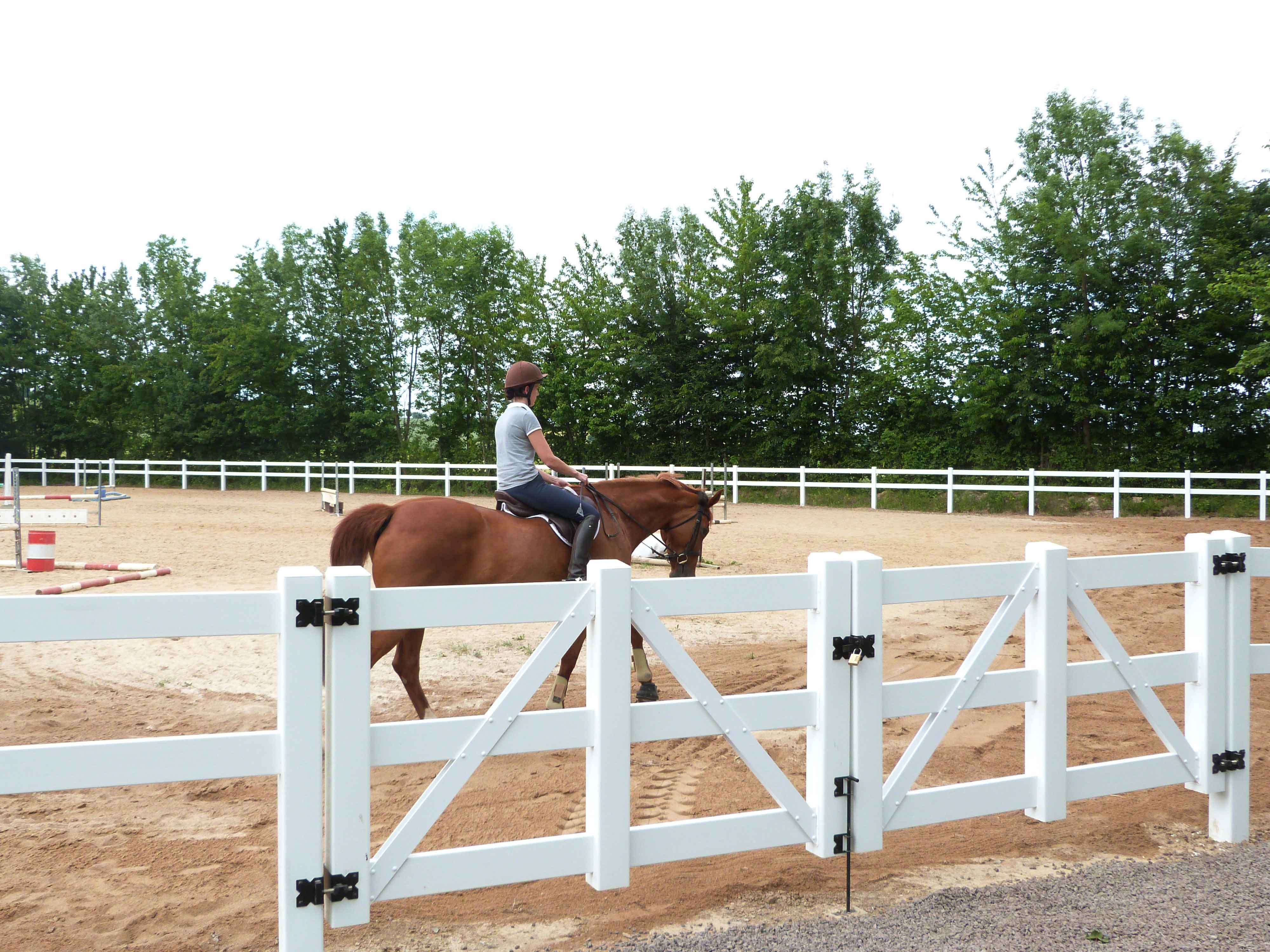 En kvindelig rytter fører hendes hest rundt på en ridebane med spring. Ridebanen er afgrænset af et hestehegn i hvid plast..