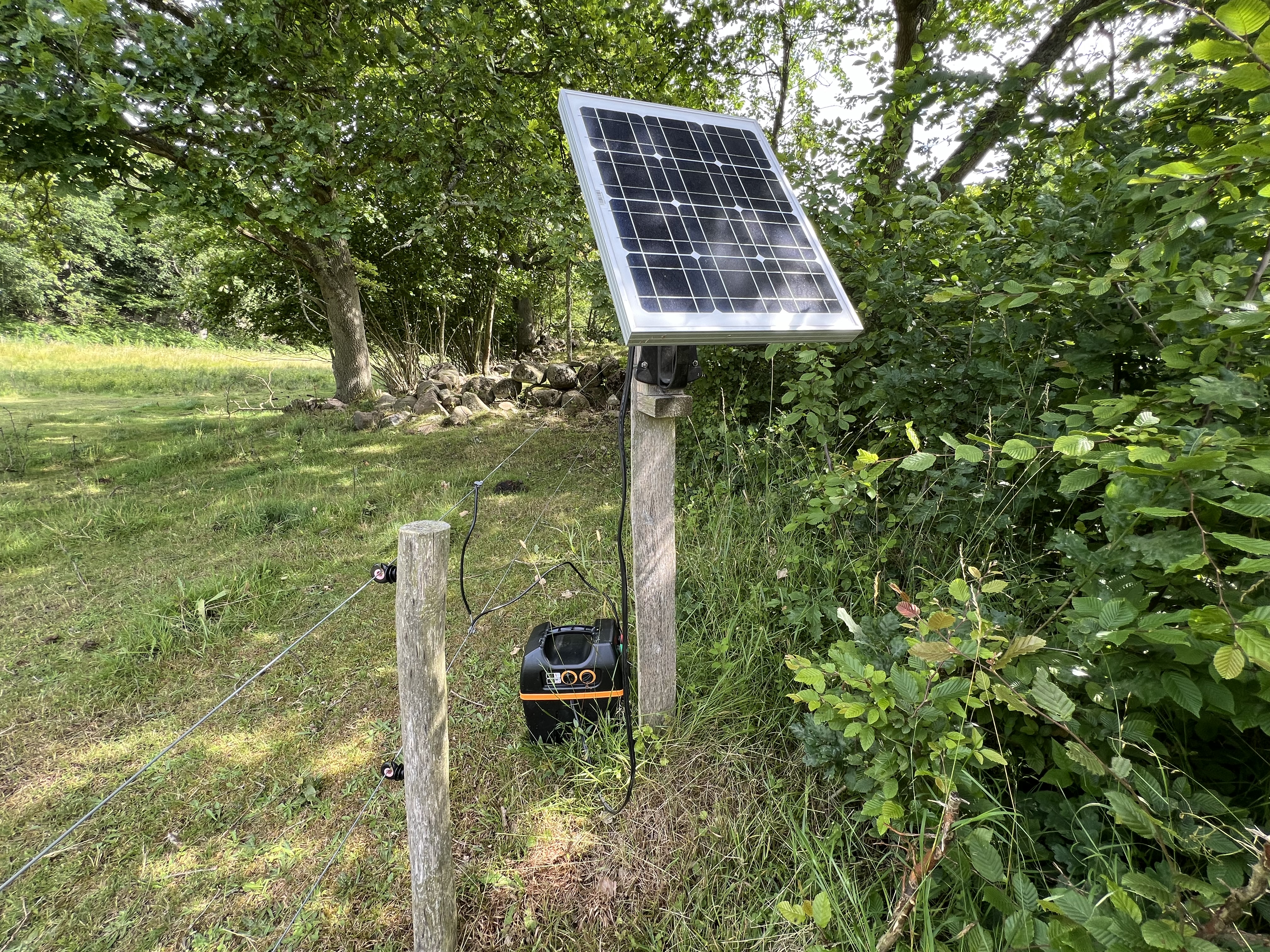 Et solcellepanel forbundet til et elhegnsapparat i skovbrynet, monteret på pæl og placeret ved et elektrisk hegn i grønne omgivelser.