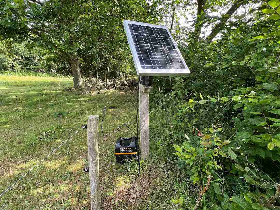 Et solcellepanel forbundet til et elhegnsapparat i skovbrynet, monteret på pæl og placeret ved et elektrisk hegn i grønne omgivelser.