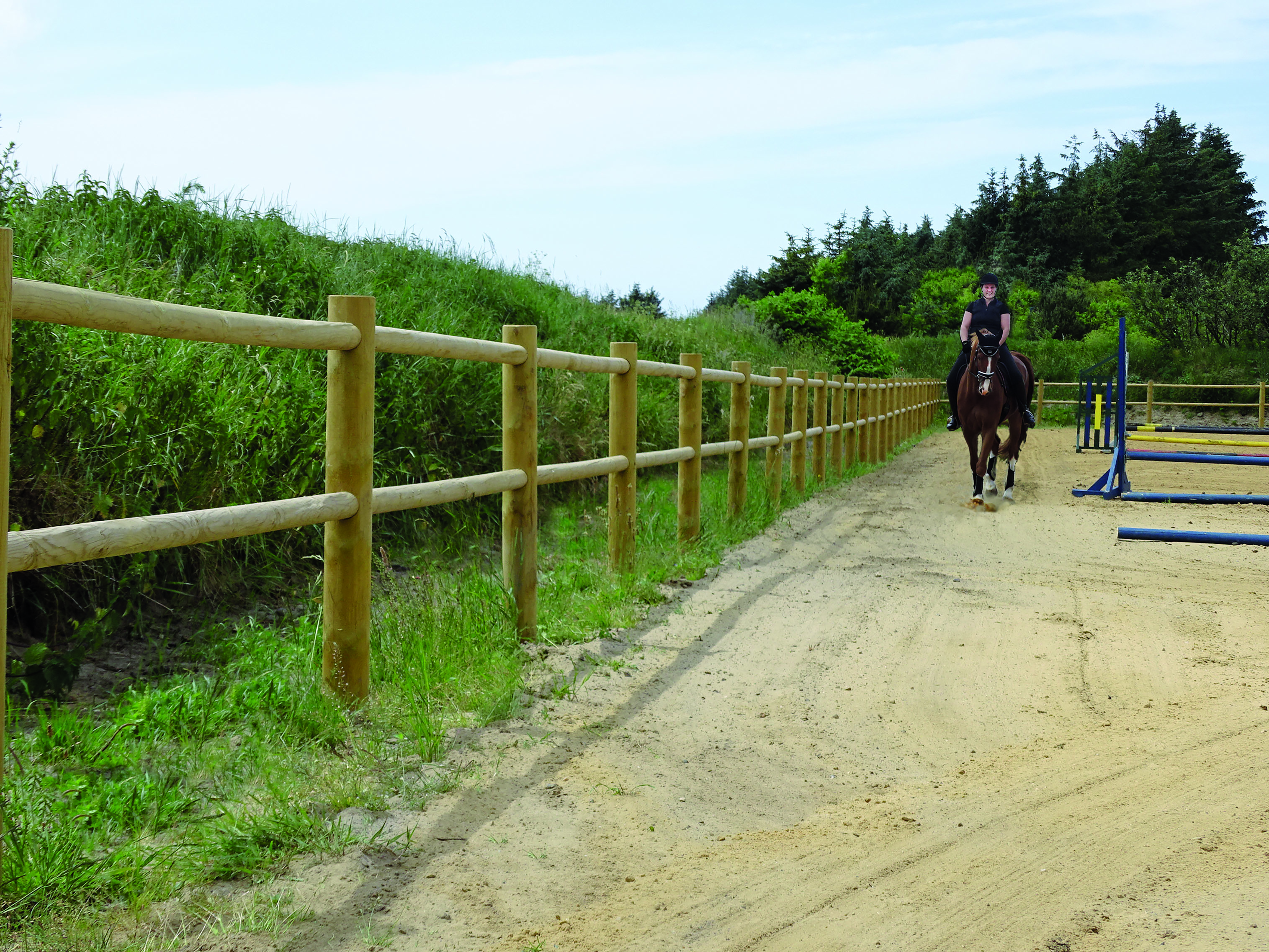 En kvindelig rytter fører hendes hest rundt på en ridebane med spring. Ridebanen er afgrænset af et ridebanehegn i træ.
