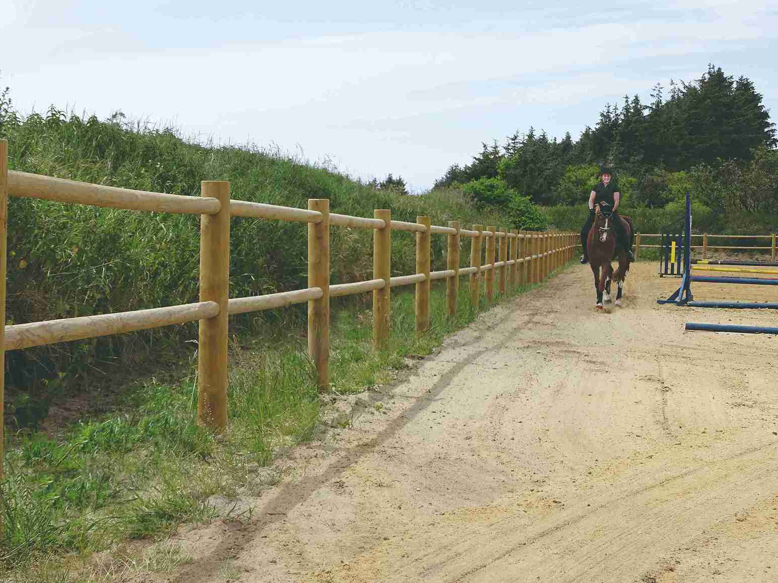 En kvindelig rytter fører hendes hest rundt på en ridebane med spring. Ridebanen er afgrænset af et ridebanehegn i træ.