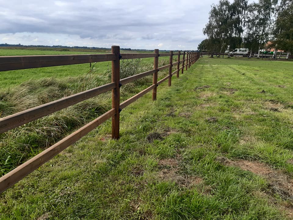 Et 3-lægtet lægtehegn adskiller en hestefold fra en mark.