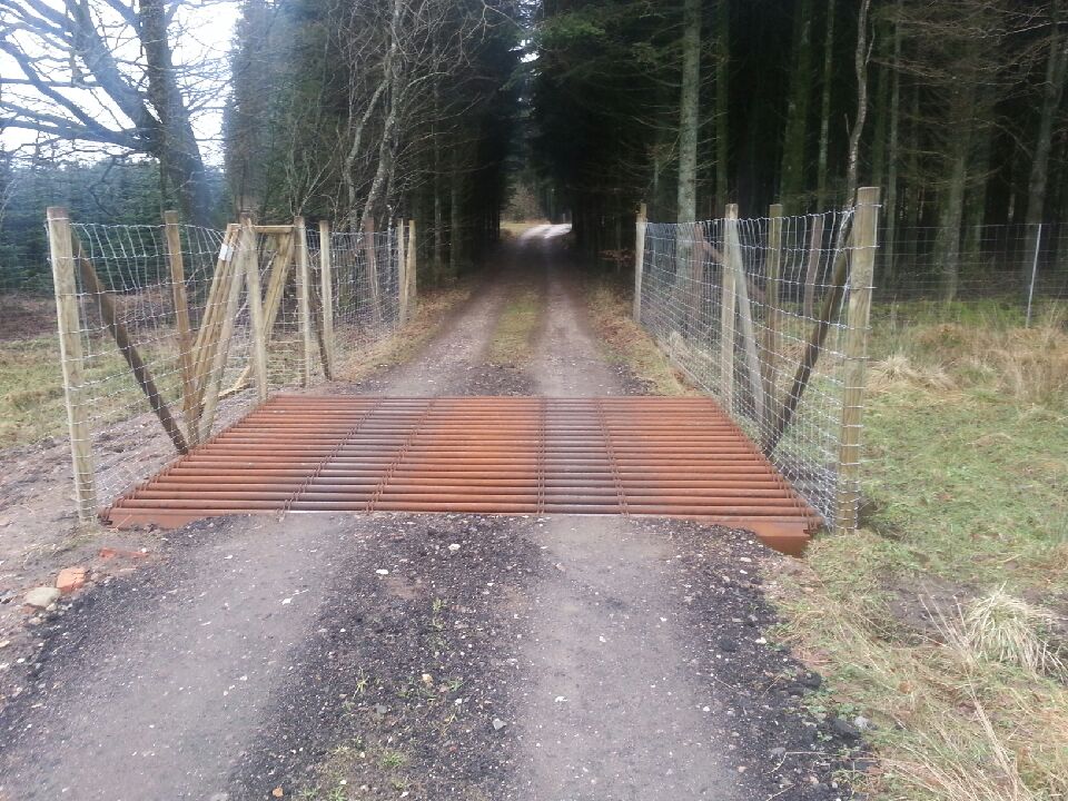 En færist  ved indgangen til en skov