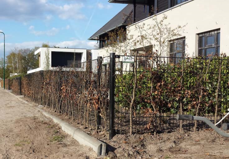 Til et hvidt hus er der blevet monteret sort panelhegn
