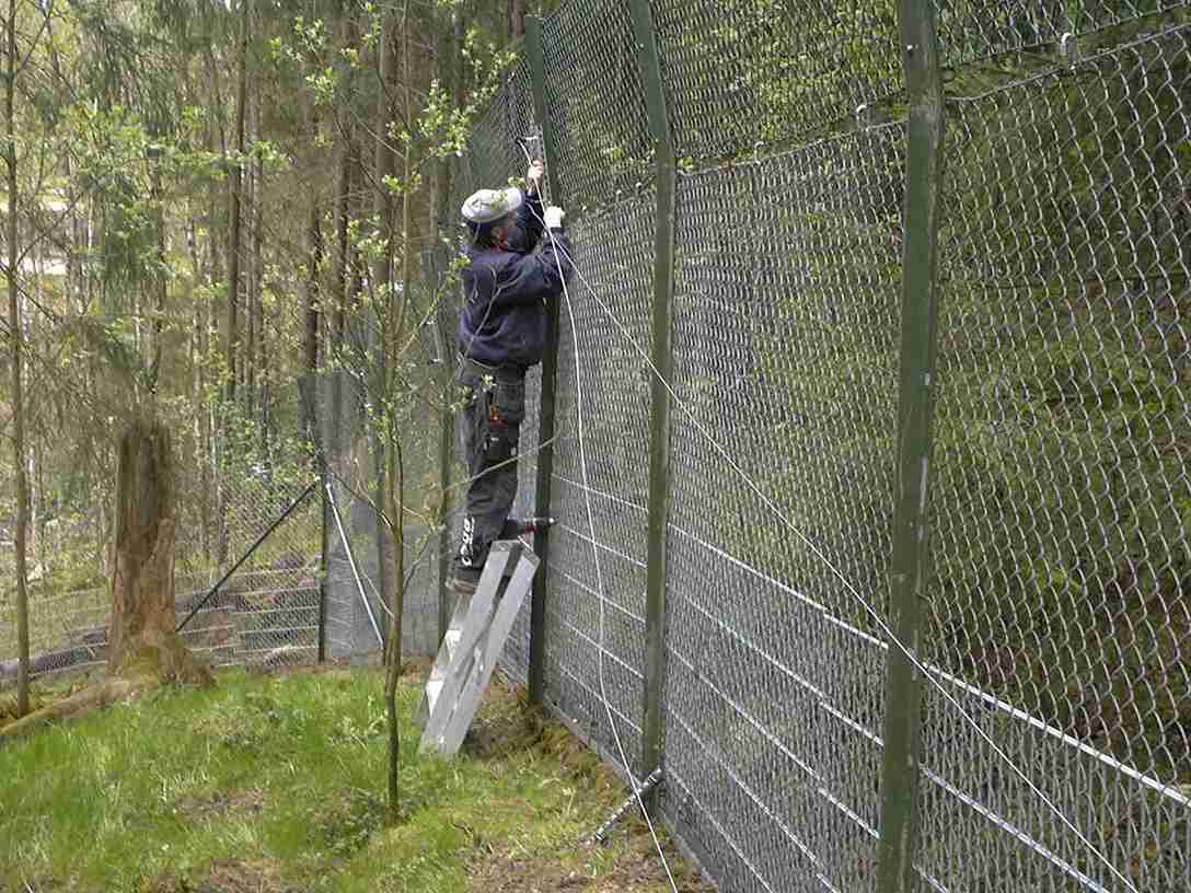 En mand monterer eltråde på toppen af et højt hegn i en zoo.