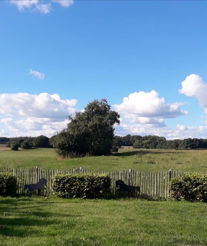 Et hegn af kastanjetræ fra Poda adskiller en have fra et natur område