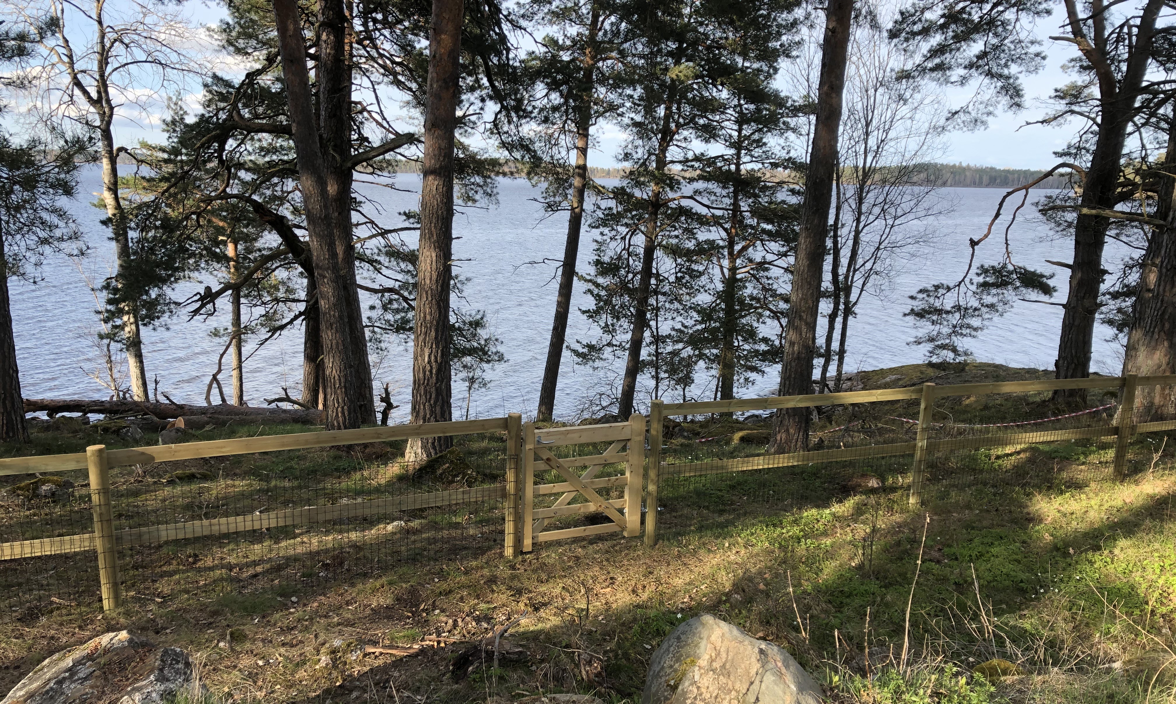 Et hegn bestående af trælægter og nethegn beskytter en kystlinje. Indhegningen er afsluttet med en trælåge