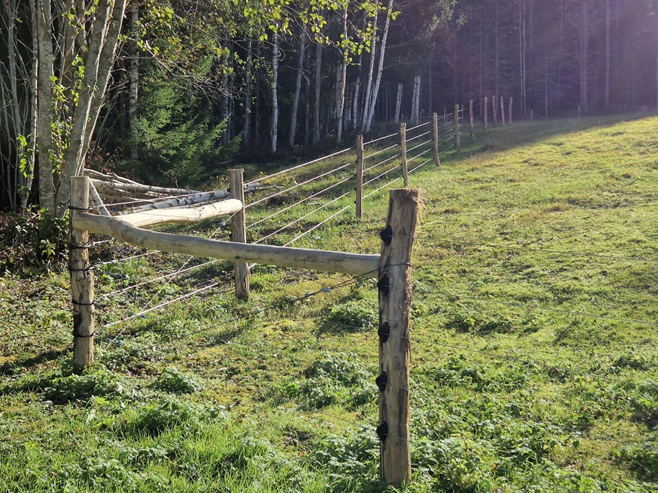 Her ses hjørnet af et ulvesikret hegn med fem rækker strømførende tråde