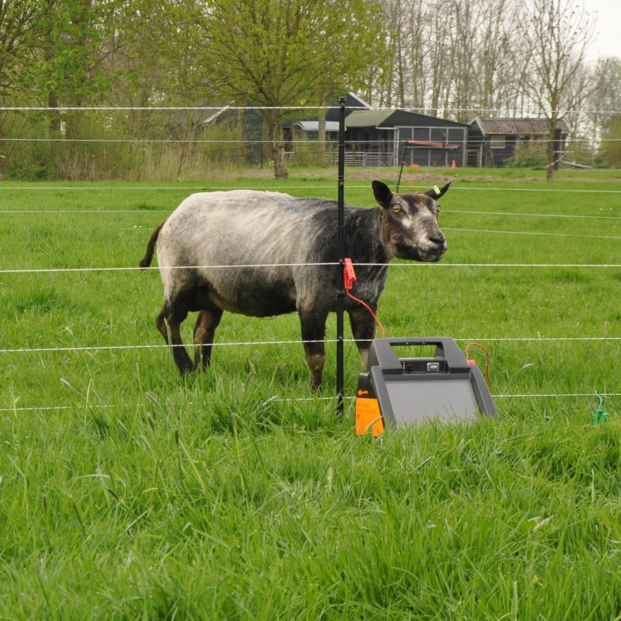 Et får står bag et flytbart elhegn. Foran hegnet står et soldrevet hegnsapparat.