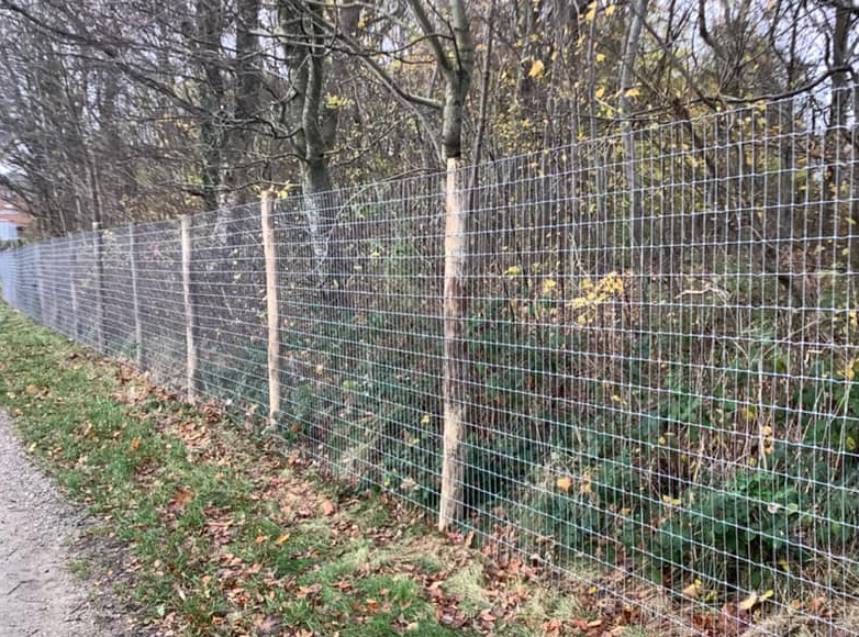 Et grønt område bliver beskyttet af et højt Multinet hegn på robiniepæle