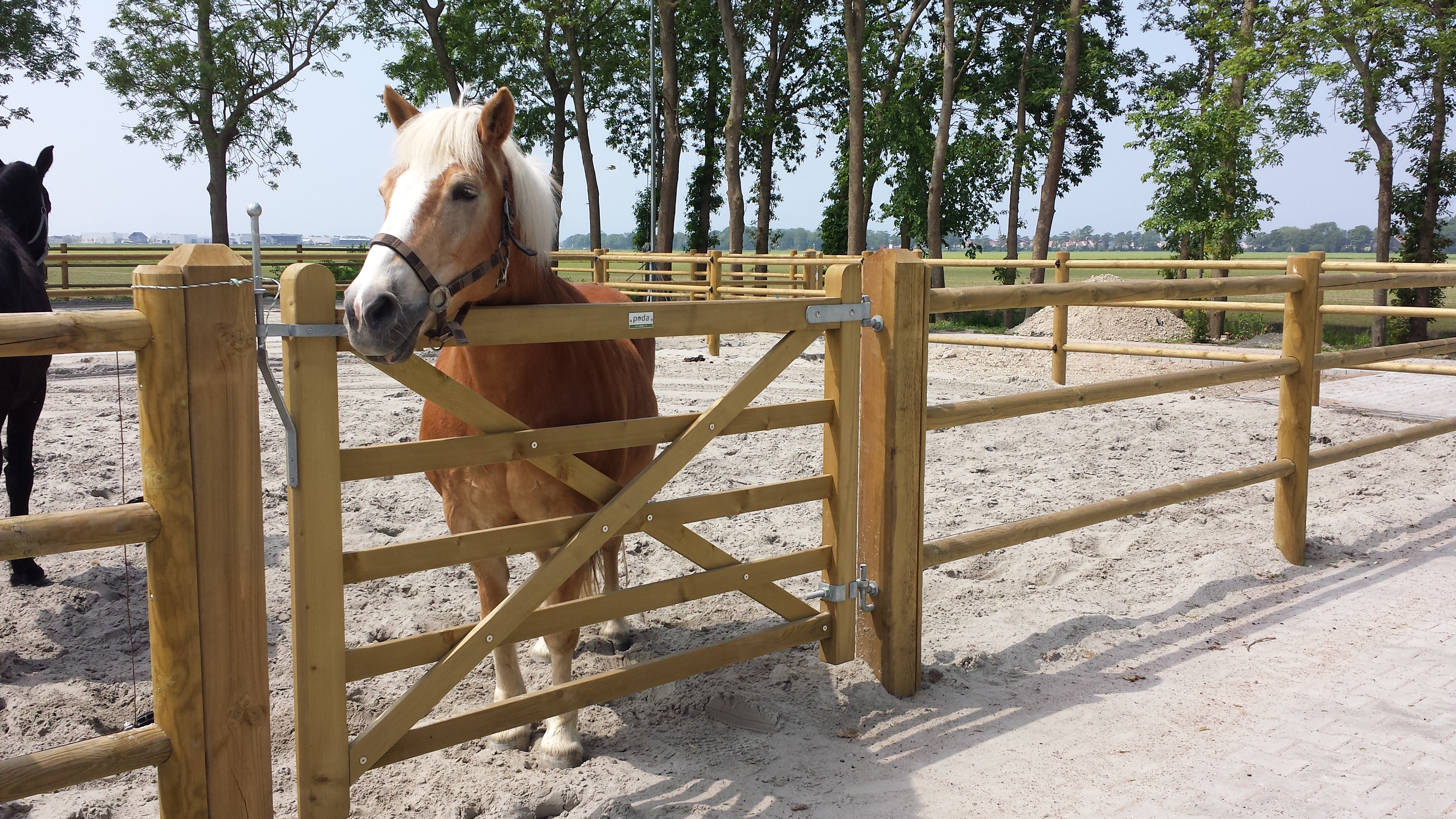 En brun hest står i dens indhegning og kigge ud over en Country House låge