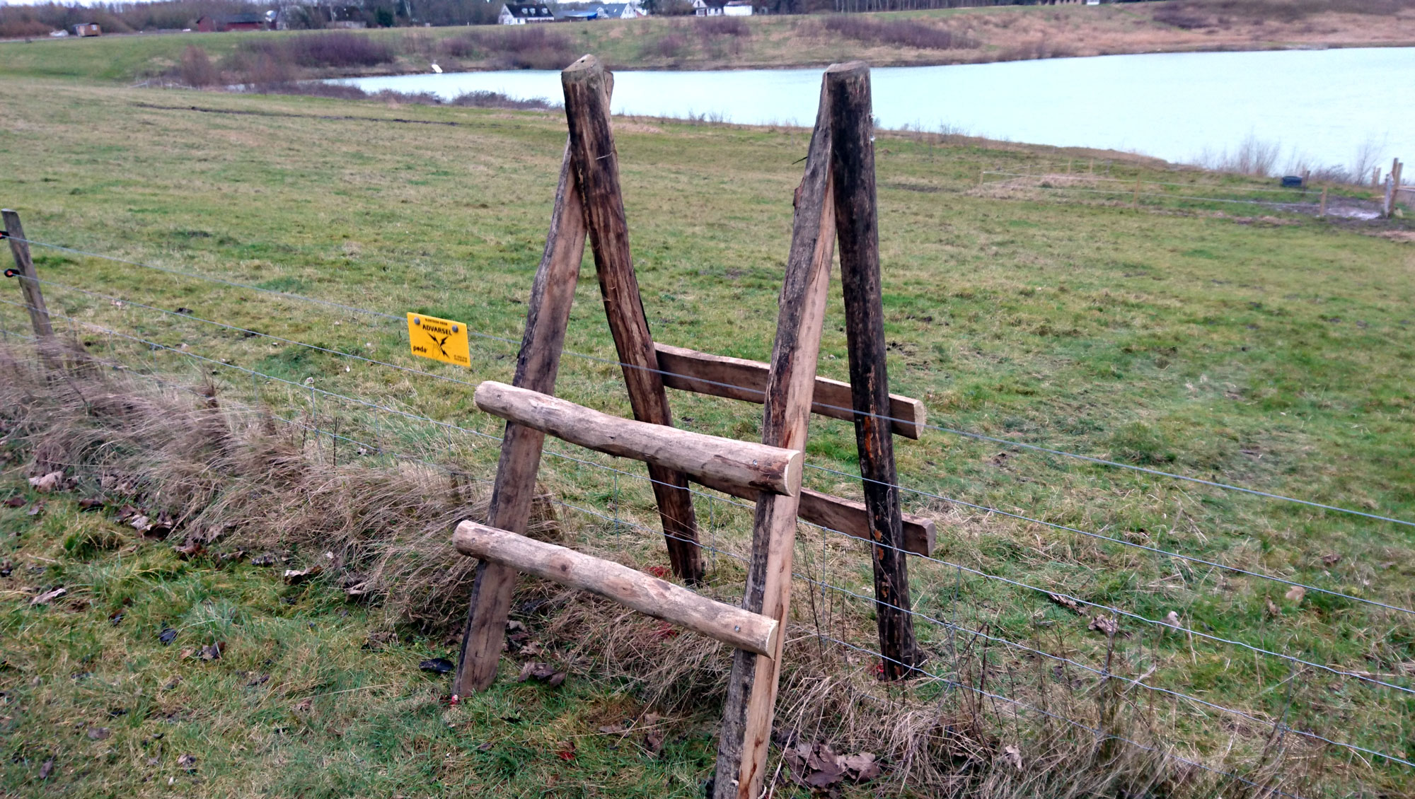Hegnslinje med en trappe i træ, hvor man kan komme over på den anden side