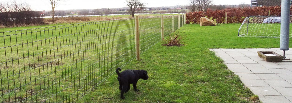 En lille sort hund løber rundt i haven, der er indhegnet med Lux havehegnet